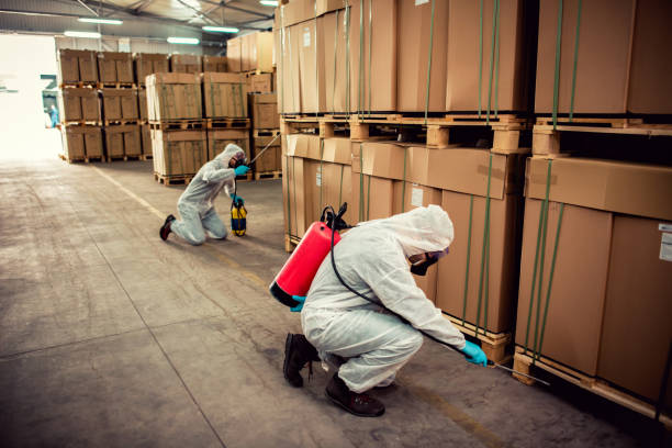 Best Mosquito Control Services  in Hampstead, MD