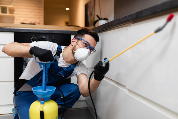 Best Pest Control Near Me  in Hampstead, MD